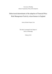 Financial risk management thesis