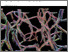 [thumbnail of Open Access]