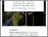 [thumbnail of Bring Power to the Garden.pdf]
